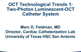 OCT Technological Trends 1: Two-Photon Luminescent-OCT Catheter System
