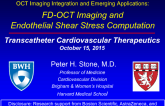 OCT Imaging Integration and Emerging Applications 1: FD-OCT Imaging and Endothelial Shear Stress Computation