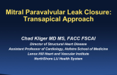 Case 2: Mitral Paravalvular Leak Closure  Transapical Approach