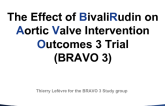 BRAVO 3: A Prospective Randomized Trial of Bivalirudin Versus Heparin in Patients Undergoing Transcatheter Aortic Valve Replacement
