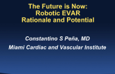The Future Is Now: Robotic EVAR's Rationale and Potential