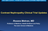 Contrast Nephropathy Clinical Trial Updates (AVERT, RenalGuard, Preserve, and Others)
