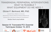 Transradial Peripheral Intervention: What Is Feasible? What Equipment Do We Need?