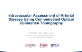 OCT Imaging Integration and Emerging Applications 3: Intravascular Assessment of Arterial Disease Using Compensated Optical Coherence Tomography