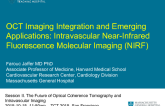 OCT Imaging Integration and Emerging Applications 4: Intravascular Near-Infrared Fluorescence Molecular Imaging (NIRF)