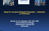Stroke After TAVR 2: Controversy 1  Need for Cerebral Protection (Universal vs Selective)