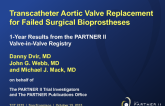 PARTNER II Valve-in-Valve Registry: Evaluation of a Balloon-Expandable Transcatheter Aortic Valve in Patients With Failed Bioprosthetic Surgical Aortic Valves