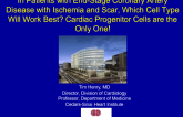 In Patients With End-stage Coronary Artery Disease With Ischemia and Scar, Which Cell Type Will Work Best? Cardiac Progenitor Cells Are the Only One!