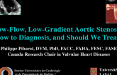 Low-Flow, Low-Gradient Aortic Stenosis: How to Diagnosis, and Should We Treat?