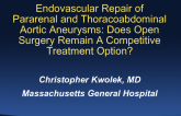 Endovascular Repair of Pararenal and Thoracoabdominal Aneurysms: Does Open Surgery Remain a Competitive Treatment Option?