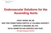 Endovascular Solutions for the Ascending Aorta