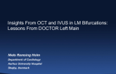 Insights From OCT and IVUS in LM Bifurcations: Lessons From DOCTOR Left Main