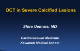 OCT in Severe Calcified Lesions