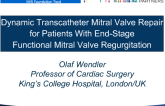 Miscellaneous Emerging Technologies 3: Dynamic Transcatheter Mitral Valve Repair for Patients With End-Stage Functional Mitral Valve Regurgitation