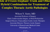 Role of Frozen Elephant Trunk and Other Hybrid Combinations for Treatment of Complex Thoracic Aortic Pathologies