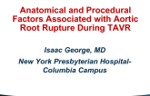 Anatomical and Procedural Factors Associated With Aortic Root Rupture During TAVR
