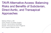 TAVR Alternative Access: Balancing Risks and Benefits of Subclavian, Direct Aortic, and Transapical Approaches