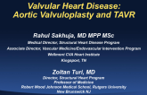 Valvular Heart Disease: Aortic Valvuloplasty and TAVR