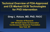 Technical Overview of FDA-Approved and CE-Marked DCB Technologies for PVD Intervention