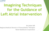Imaging Techniques for the Guidance of Left Atrial Intervention
