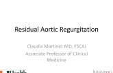 Residual Aortic Regurgitation