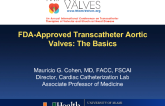 FDA-Approved Transcatheter Aortic Valves: The Basics