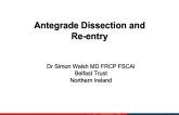 Antegrade Dissection and Reentry