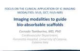 Imaging modalities to guide bio-absorbable scaffolds