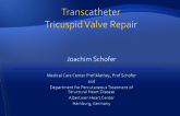Transcatheter Tricuspid Valve Repair