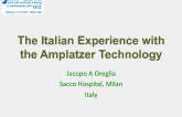 The Italian Experience with the Amplatzer Technology