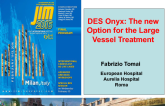 DES Onyx: The new Option for the Large Vessel Treatment