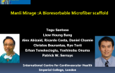 Manli Mirage :A Bioresorbable Microfiber scaffold