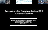 Intravascular Imaging during BRSa pragmatic approach