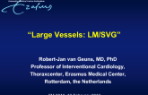 'Large Vessels: LM-SVG'