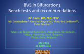 BVS in BifurcationsBench tests and recommendations