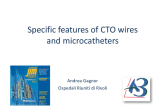 Specific features of CTO wires and microcatheters