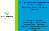 Next Generation Technologies for Carotid Stents: Micropore Stents and Other Devices