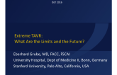 Extreme TAVR: What Are the Limits and the Future?