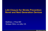 LAA Closure for Stroke Prevention: Novel and Next Generation Devices