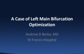 A Case of Left Main Bifurcation Optimization