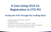 A Case Using IVUS Co-Registration in CTO PCI