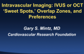 Intravascular Imaging: IVUS or OCT  ‘Sweet Spots,’ Overlap Zones, and Preferences