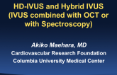 HD-IVUS and Hybrid IVUS (IVUS combined with OCT or with Spectroscopy)