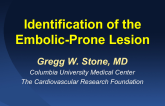 Identification of the Embolic-Prone Lesion
