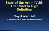 State of the Art in IVUS: The Road to High Definition