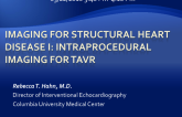 Imaging For Structural Heart Disease I: Intraprocedural Imaging For TAVR