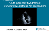 Acute Coronary Syndromes: old and new methods for assessment