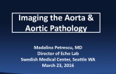 Imaging the Aorta & Aortic Pathology