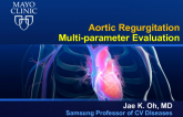 Aortic Regurgitation Multi-parameter Evaluation