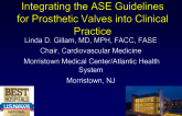 Integrating the ASE Guidelines for Prosthetic Valves into Clinical Practice